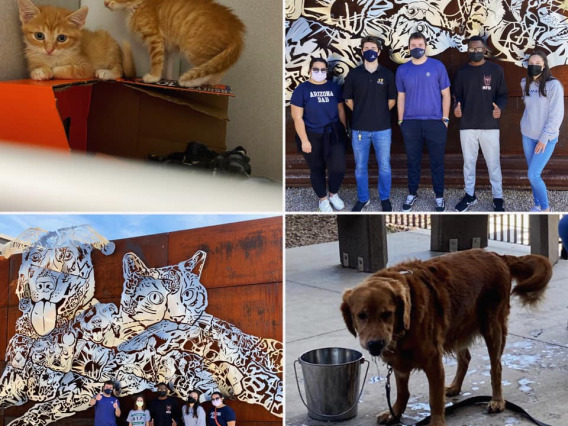 Montage of cats, a dog, and students standing in front of PACC building.