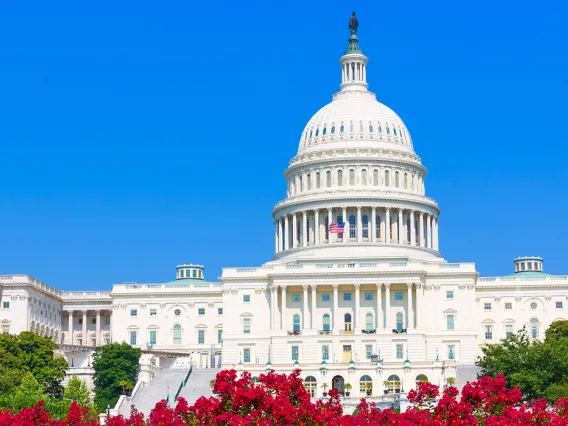 U.S. Capitol Building