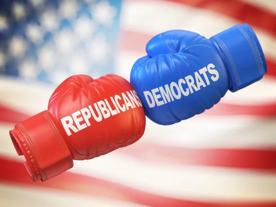 Red and Blue Boxing Gloves